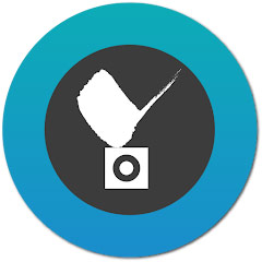 نرم ازفزار vivotek-iviewer